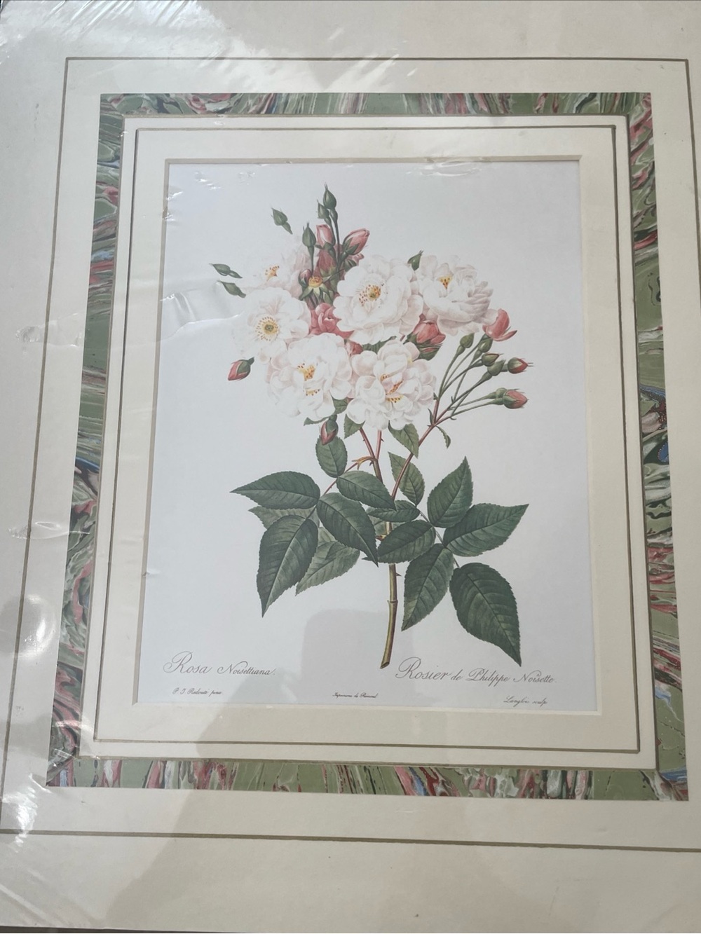 Botanical Rose Wall Art Print in White and Green/ no frame